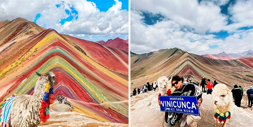 Fotografia de un joven posando junto con alpacas y llamas en la montaña de colores