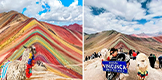 Miniatura del joven posando con animales de la zona en la montaña vinicunca